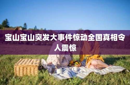 宝山宝山突发大事件惊动全国真相令人震惊
