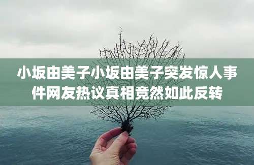 小坂由美子小坂由美子突发惊人事件网友热议真相竟然如此反转