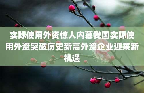 实际使用外资惊人内幕我国实际使用外资突破历史新高外资企业迎来新机遇