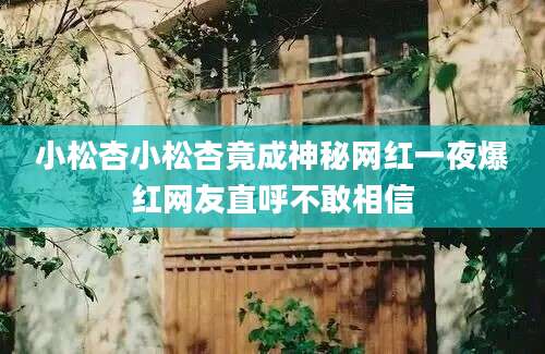 小松杏小松杏竟成神秘网红一夜爆红网友直呼不敢相信
