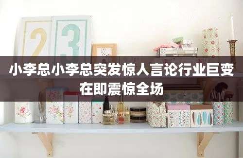 小李总小李总突发惊人言论行业巨变在即震惊全场