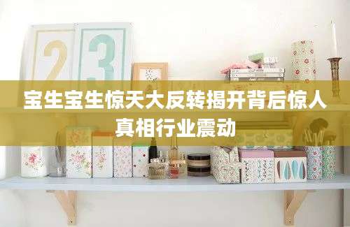 宝生宝生惊天大反转揭开背后惊人真相行业震动