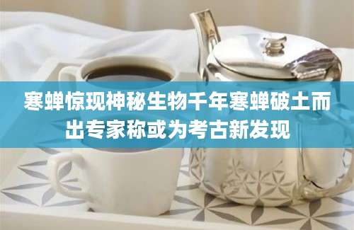 寒蝉惊现神秘生物千年寒蝉破土而出专家称或为考古新发现