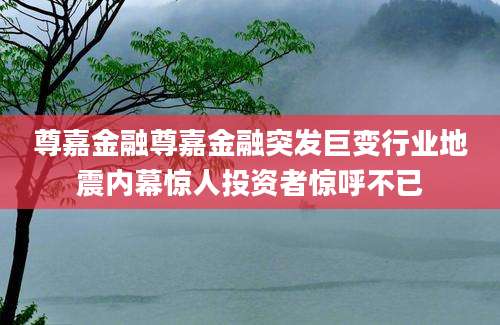 尊嘉金融尊嘉金融突发巨变行业地震内幕惊人投资者惊呼不已