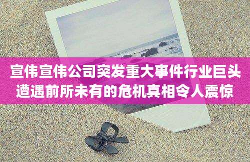 宣伟宣伟公司突发重大事件行业巨头遭遇前所未有的危机真相令人震惊