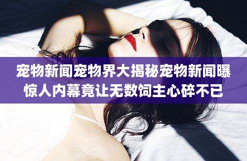 宠物新闻宠物界大揭秘宠物新闻曝惊人内幕竟让无数饲主心碎不已