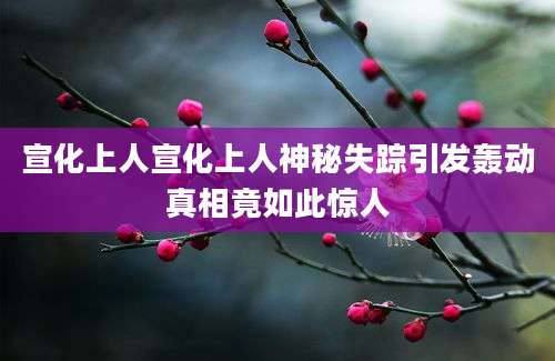 宣化上人宣化上人神秘失踪引发轰动真相竟如此惊人