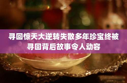 寻回惊天大逆转失散多年珍宝终被寻回背后故事令人动容