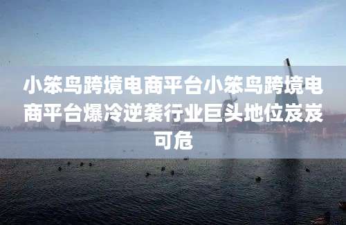 小笨鸟跨境电商平台小笨鸟跨境电商平台爆冷逆袭行业巨头地位岌岌可危
