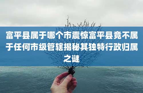 富平县属于哪个市震惊富平县竟不属于任何市级管辖揭秘其独特行政归属之谜