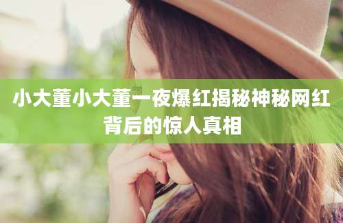 小大董小大董一夜爆红揭秘神秘网红背后的惊人真相