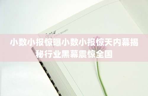 小数小报惊曝小数小报惊天内幕揭秘行业黑幕震惊全国