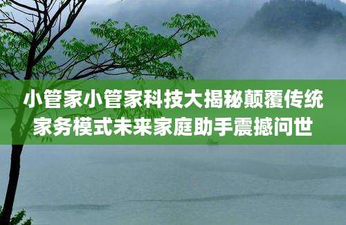 小管家小管家科技大揭秘颠覆传统家务模式未来家庭助手震撼问世