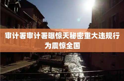 审计署审计署曝惊天秘密重大违规行为震惊全国