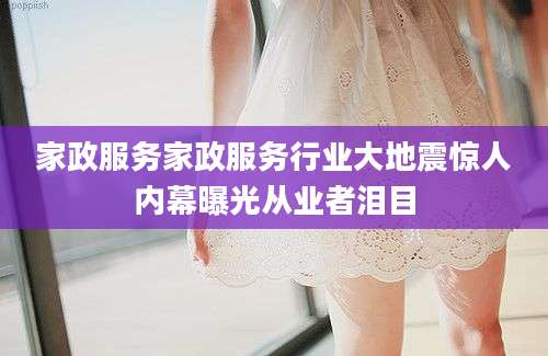 家政服务家政服务行业大地震惊人内幕曝光从业者泪目