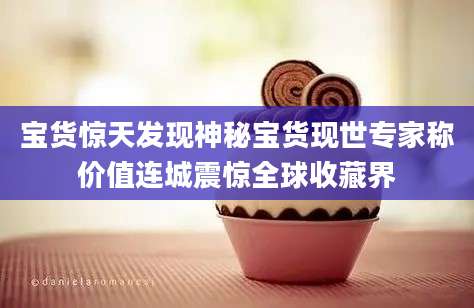 宝货惊天发现神秘宝货现世专家称价值连城震惊全球收藏界