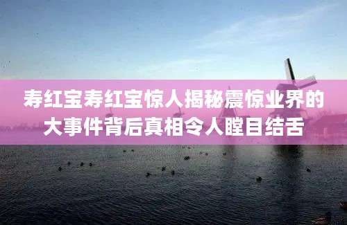 寿红宝寿红宝惊人揭秘震惊业界的大事件背后真相令人瞠目结舌