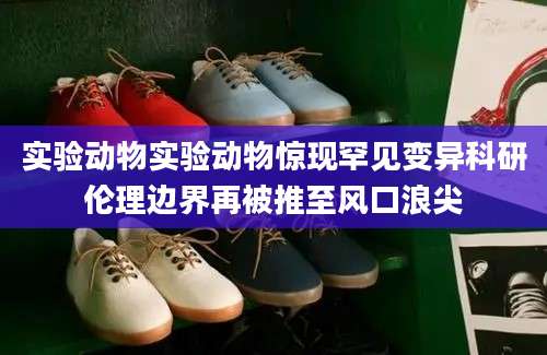实验动物实验动物惊现罕见变异科研伦理边界再被推至风口浪尖