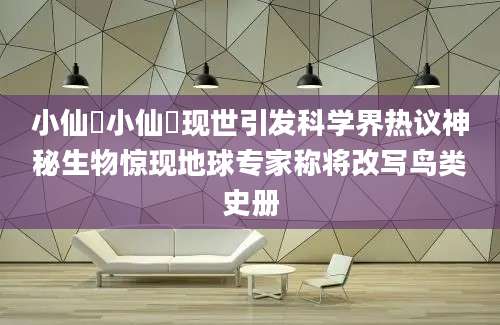 小仙鹟小仙鹟现世引发科学界热议神秘生物惊现地球专家称将改写鸟类史册