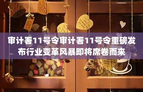 审计署11号令审计署11号令重磅发布行业变革风暴即将席卷而来
