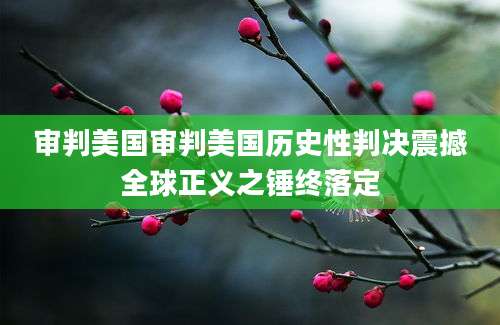 审判美国审判美国历史性判决震撼全球正义之锤终落定