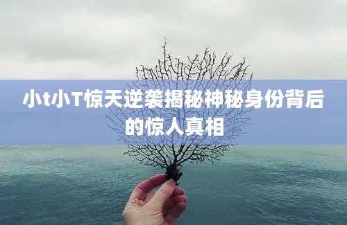 小t小T惊天逆袭揭秘神秘身份背后的惊人真相