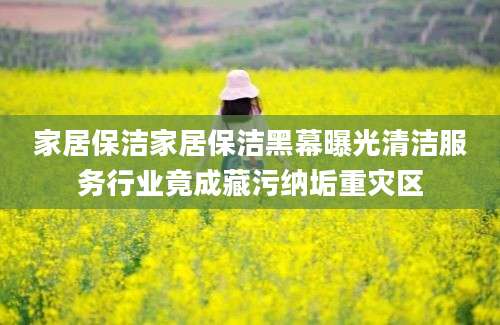 家居保洁家居保洁黑幕曝光清洁服务行业竟成藏污纳垢重灾区