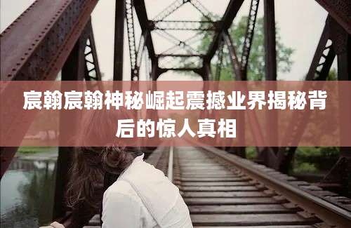 宸翰宸翰神秘崛起震撼业界揭秘背后的惊人真相