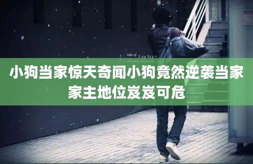 小狗当家惊天奇闻小狗竟然逆袭当家家主地位岌岌可危