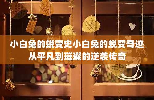小白兔的蜕变史小白兔的蜕变奇迹从平凡到璀璨的逆袭传奇