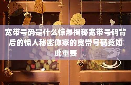 宽带号码是什么惊爆揭秘宽带号码背后的惊人秘密你家的宽带号码竟如此重要