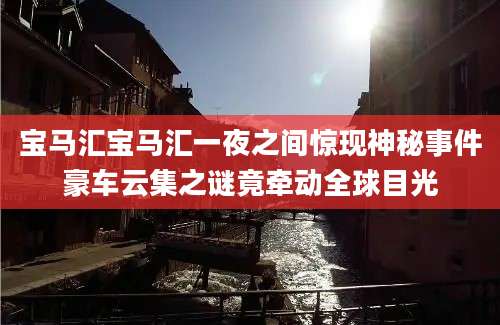 宝马汇宝马汇一夜之间惊现神秘事件豪车云集之谜竟牵动全球目光