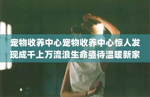 宠物收养中心宠物收养中心惊人发现成千上万流浪生命亟待温暖新家