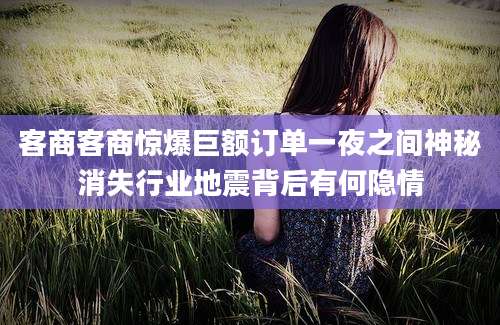 客商客商惊爆巨额订单一夜之间神秘消失行业地震背后有何隐情