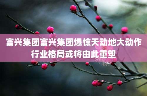 富兴集团富兴集团爆惊天动地大动作行业格局或将由此重塑