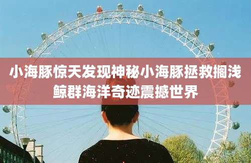小海豚惊天发现神秘小海豚拯救搁浅鲸群海洋奇迹震撼世界