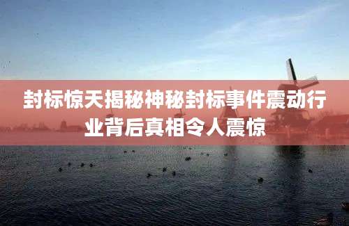 封标惊天揭秘神秘封标事件震动行业背后真相令人震惊