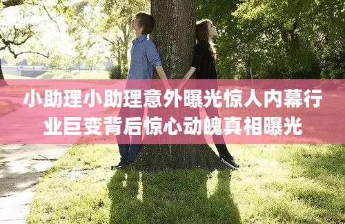 小助理小助理意外曝光惊人内幕行业巨变背后惊心动魄真相曝光