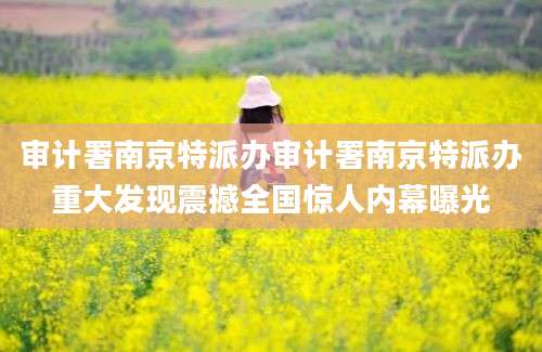 审计署南京特派办审计署南京特派办重大发现震撼全国惊人内幕曝光