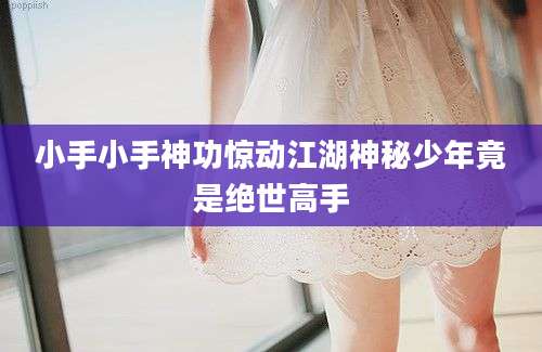 小手小手神功惊动江湖神秘少年竟是绝世高手