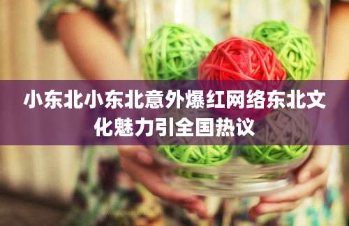 小东北小东北意外爆红网络东北文化魅力引全国热议