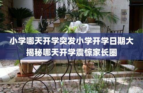 小学哪天开学突发小学开学日期大揭秘哪天开学震惊家长圈