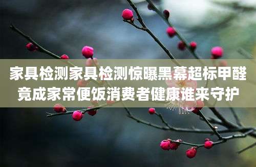 家具检测家具检测惊曝黑幕超标甲醛竟成家常便饭消费者健康谁来守护