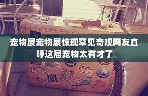 宠物展宠物展惊现罕见奇观网友直呼这届宠物太有才了