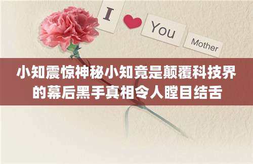 小知震惊神秘小知竟是颠覆科技界的幕后黑手真相令人瞠目结舌