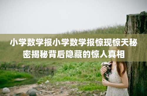 小学数学报小学数学报惊现惊天秘密揭秘背后隐藏的惊人真相