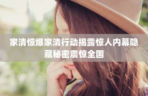 家清惊爆家清行动揭露惊人内幕隐藏秘密震惊全国