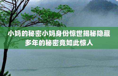 小妈的秘密小妈身份惊世揭秘隐藏多年的秘密竟如此惊人