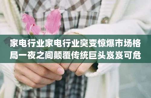 家电行业家电行业突变惊爆市场格局一夜之间颠覆传统巨头岌岌可危