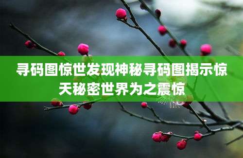 寻码图惊世发现神秘寻码图揭示惊天秘密世界为之震惊